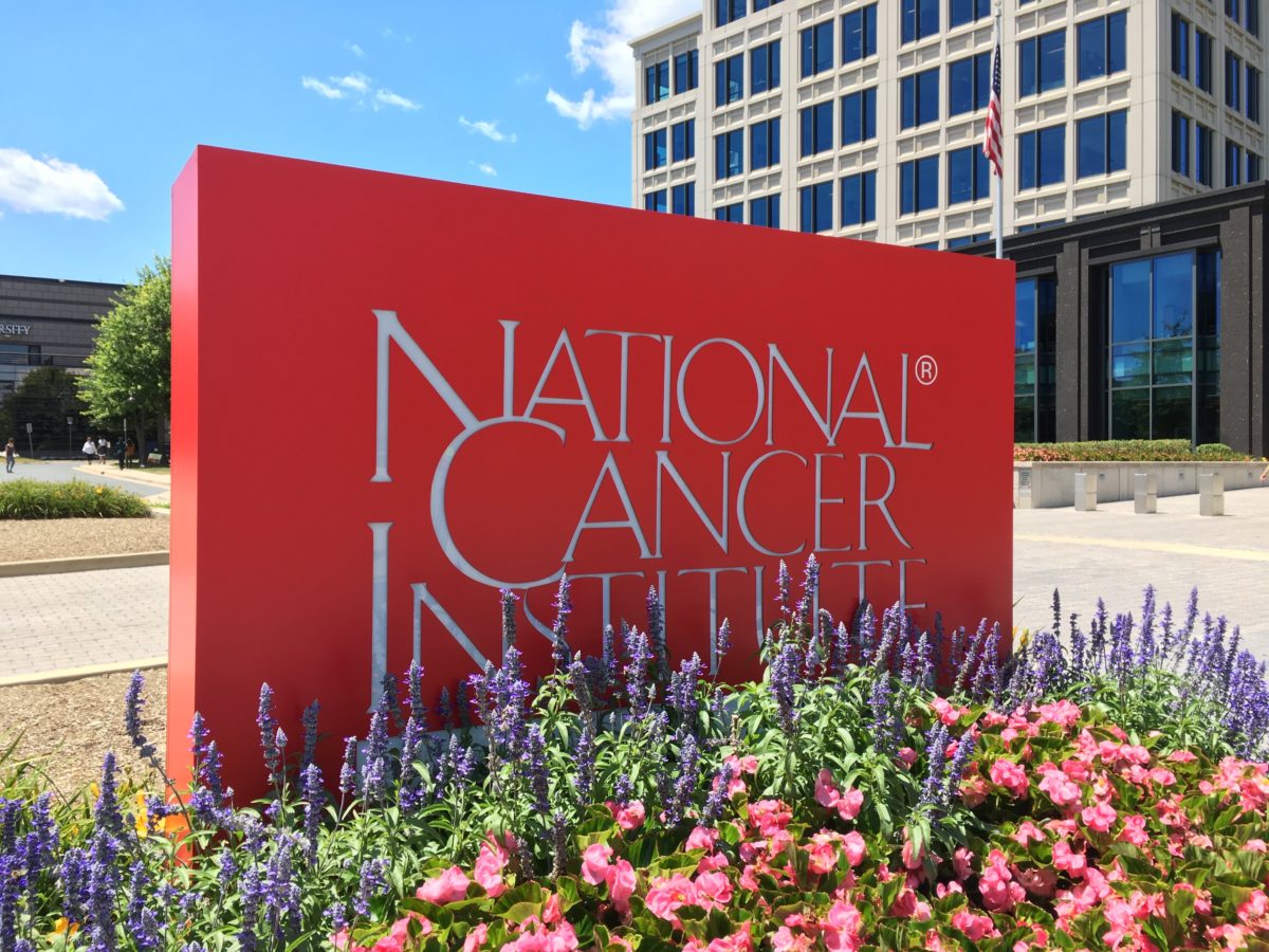 national cancer institute